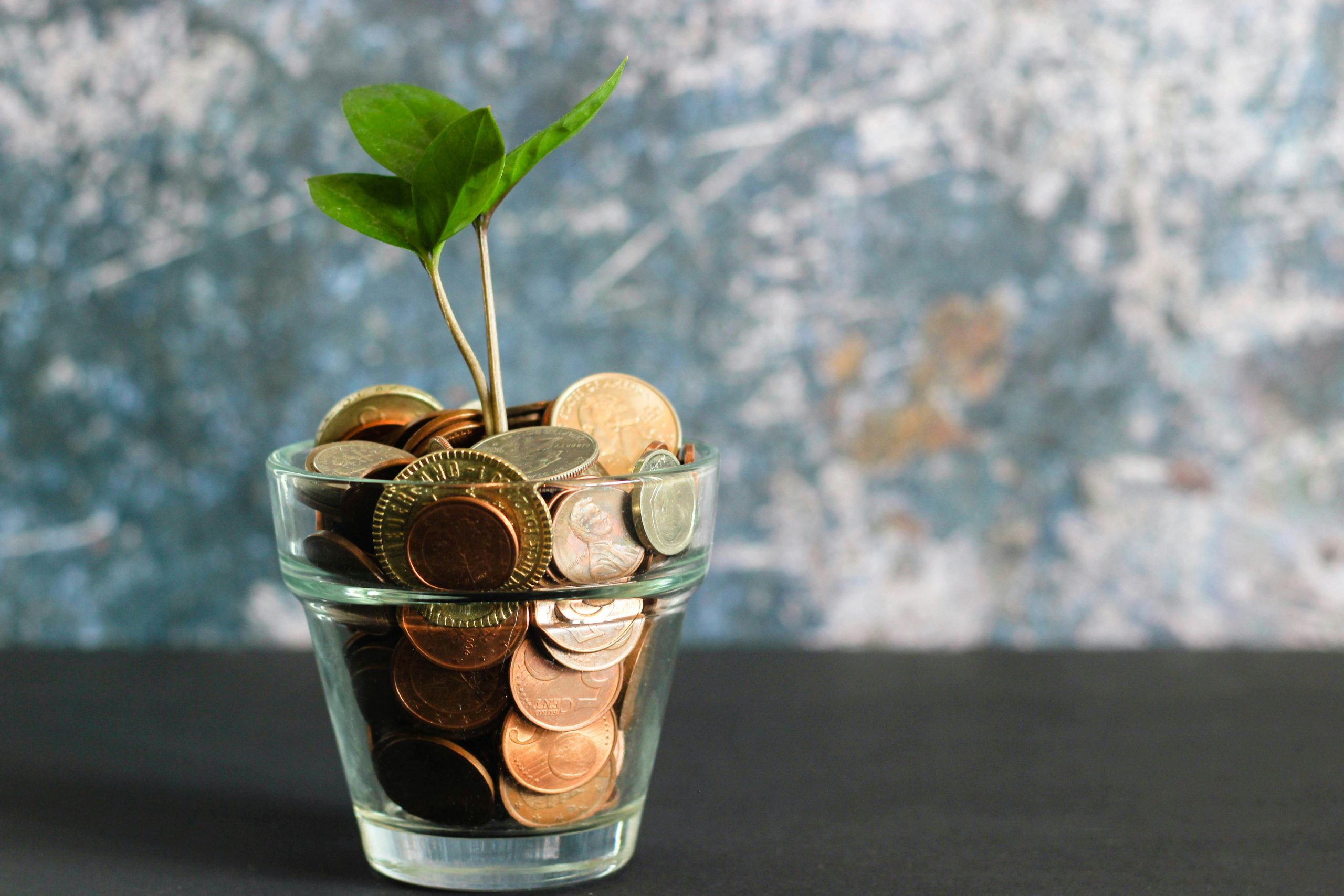 Invest fire risk assessment for living asset